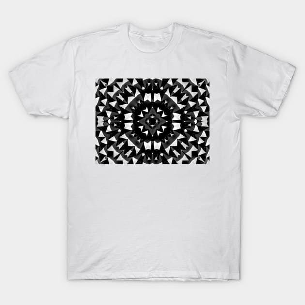 Abstract Art Two T-Shirt by Design Anbay